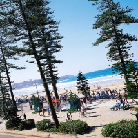 Manly-2