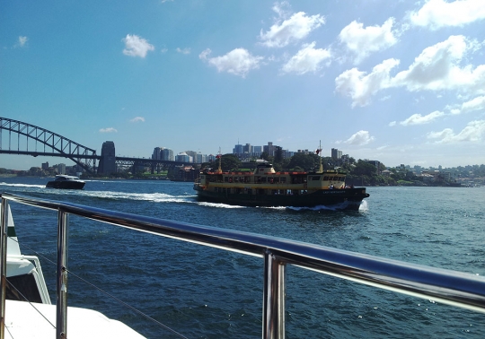 Sydney Highlights Touren und Führungen_6