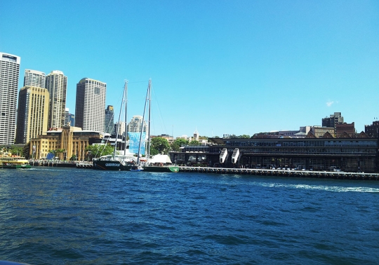 Sydney Highlights Touren und Führungen_7